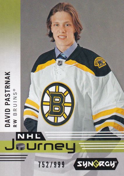insert karta DAVID PASTRŇÁK 19-20 Synergy NHL Journey /999