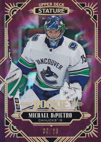 insert RC karta MICHAEL DiPIETRO 20-21 Stature Rookie Red /85